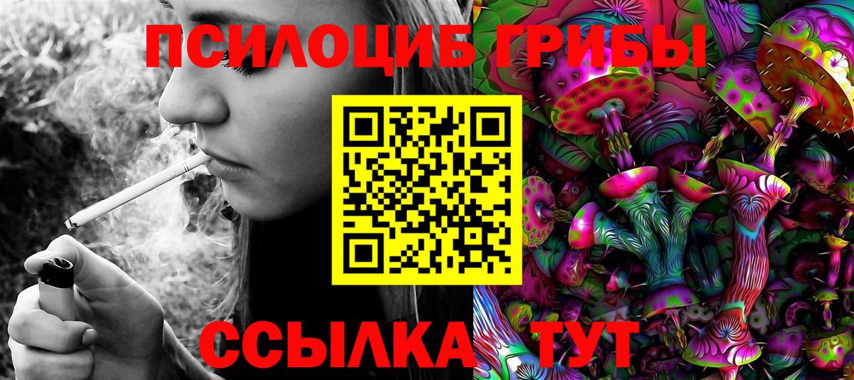 Галлюциногенные грибы Psilocybine cubensis Алексин